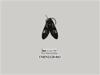 藏品(透翅碩斑蛾)的圖片